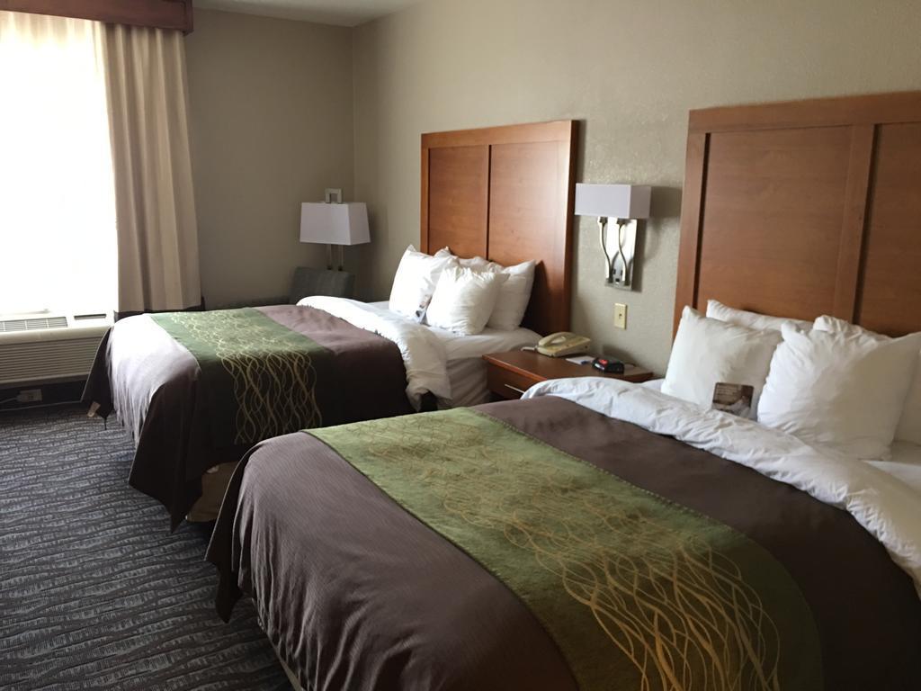 Comfort Inn & Suites Las Cruces Mesilla מראה חיצוני תמונה