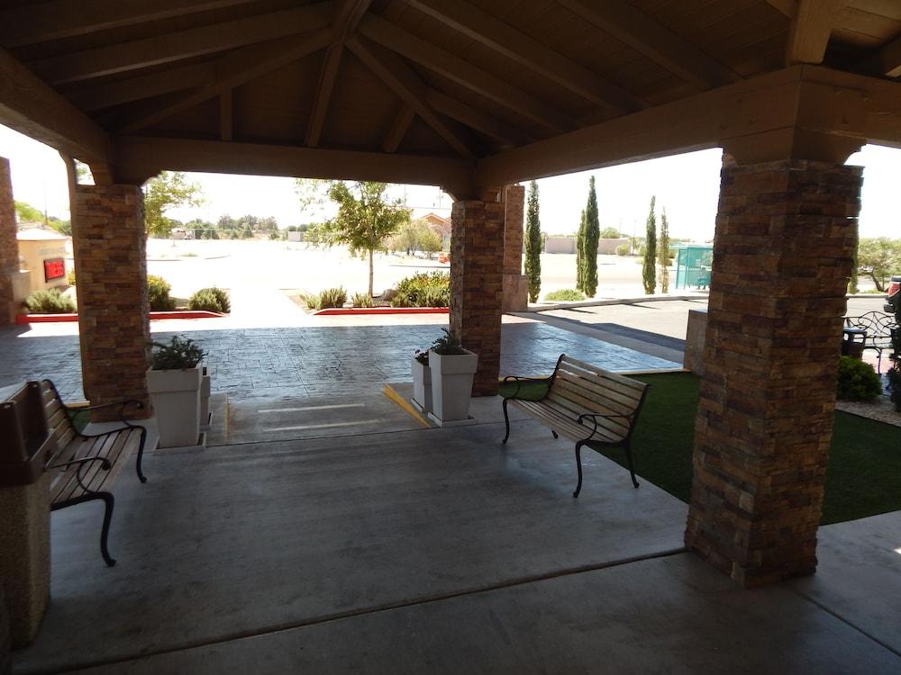 Comfort Inn & Suites Las Cruces Mesilla מראה חיצוני תמונה