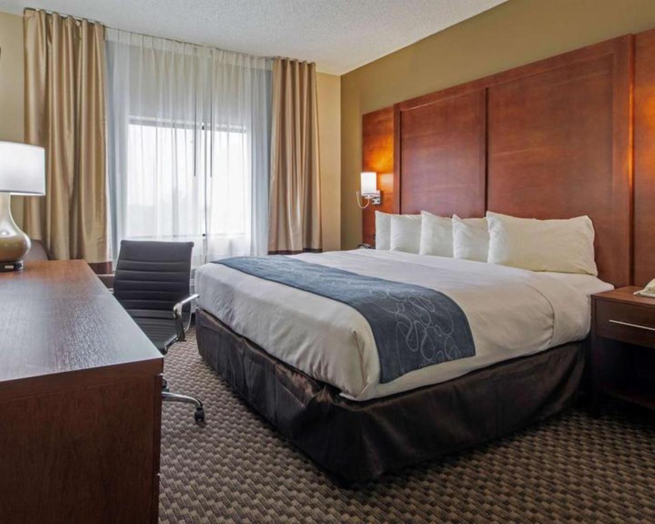 Comfort Inn & Suites Las Cruces Mesilla מראה חיצוני תמונה