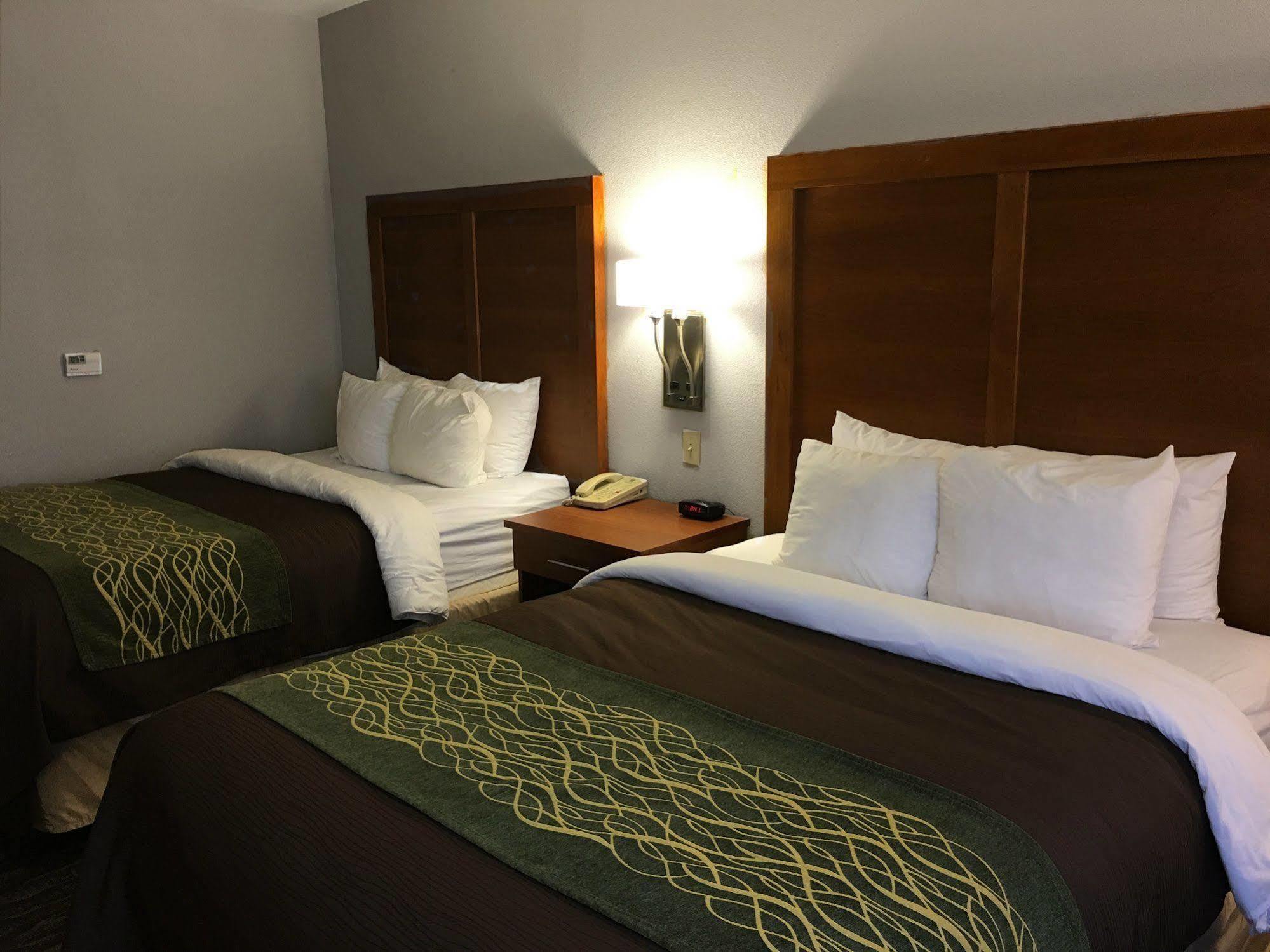 Comfort Inn & Suites Las Cruces Mesilla מראה חיצוני תמונה