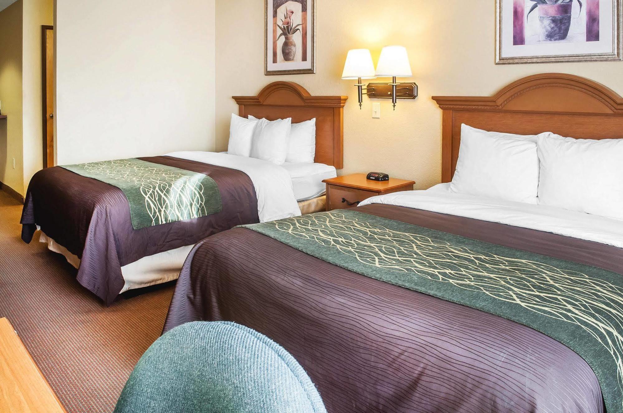 Comfort Inn & Suites Las Cruces Mesilla מראה חיצוני תמונה